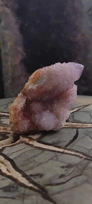 Améthyste cactus/ Améthyste esprit d’Afrique du sud - Grade Premium Améthyste cactus du Brésil