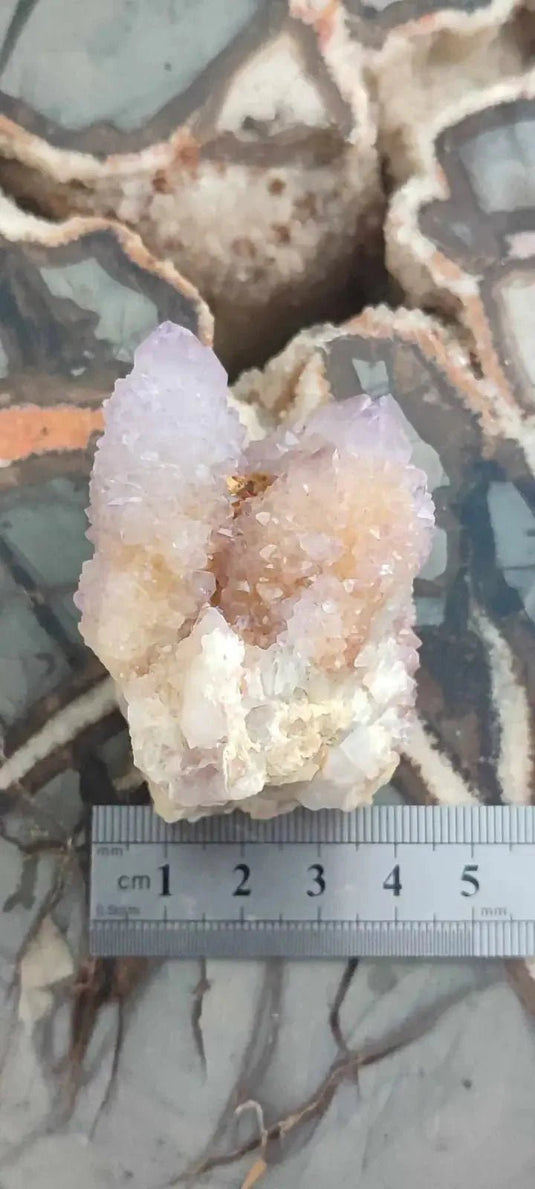 Améthyste cactus/ Améthyste esprit d’Afrique du sud - Grade Premium Améthyste cactus du Brésil