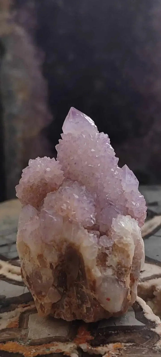 Améthyste cactus/ Améthyste esprit d’Afrique du sud - Grade Premium Améthyste cactus du Brésil