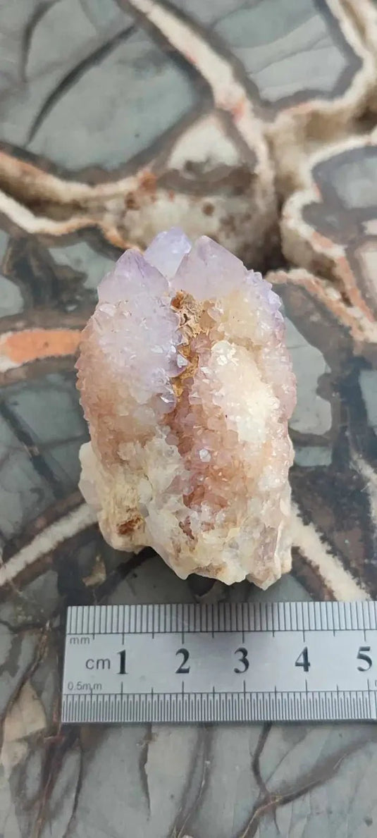 Améthyste cactus/ Améthyste esprit d’Afrique du sud - Grade Premium Améthyste cactus du Brésil