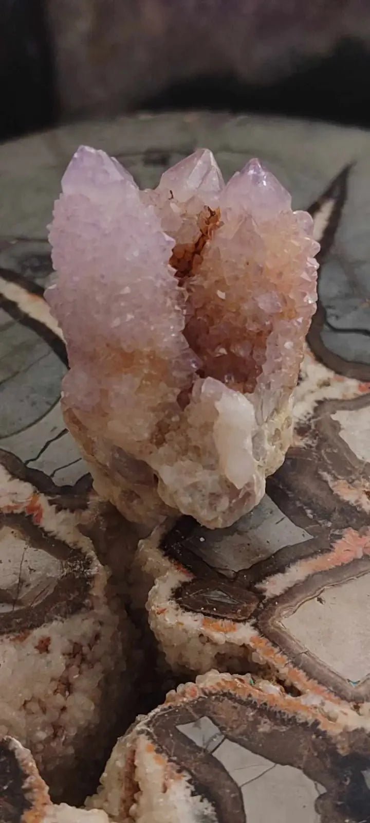 Load image into Gallery viewer, Améthyste cactus/ Améthyste esprit d’Afrique du sud - Grade Premium Améthyste cactus du Brésil
