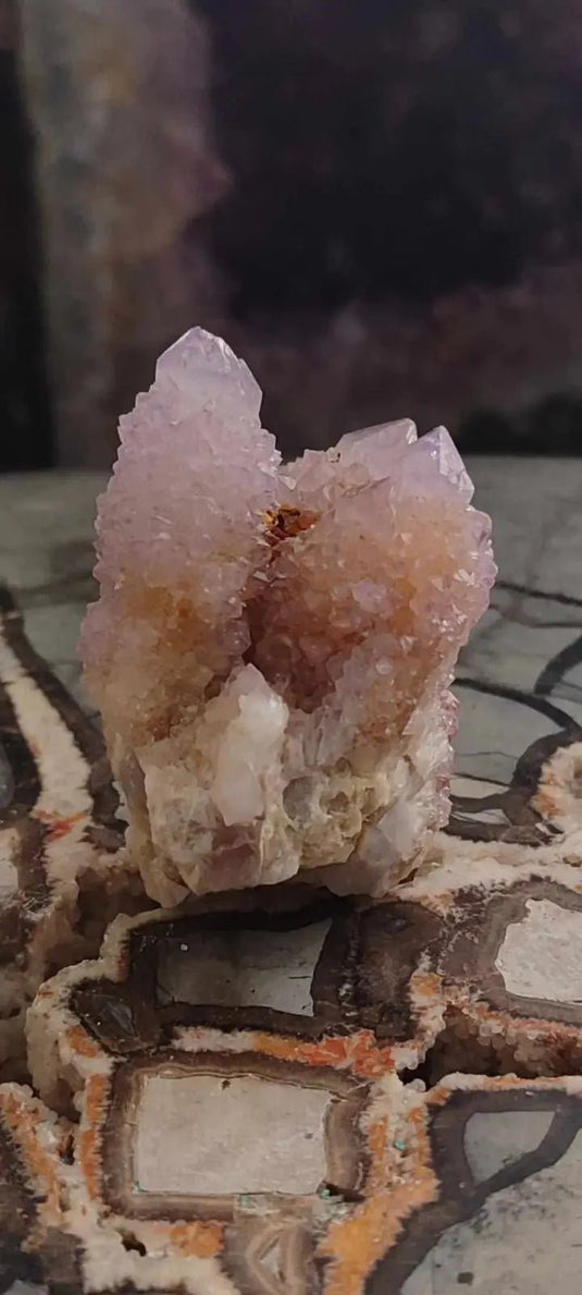 Améthyste cactus/ Améthyste esprit d’Afrique du sud - Grade Premium Améthyste cactus du Brésil