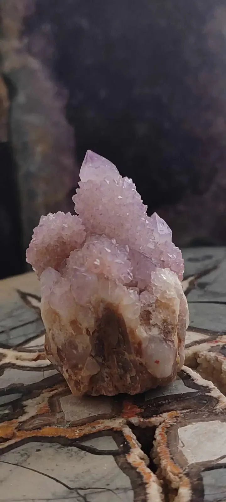 Load image into Gallery viewer, Améthyste cactus/ Améthyste esprit d’Afrique du sud - Grade Premium Améthyste cactus du Brésil
