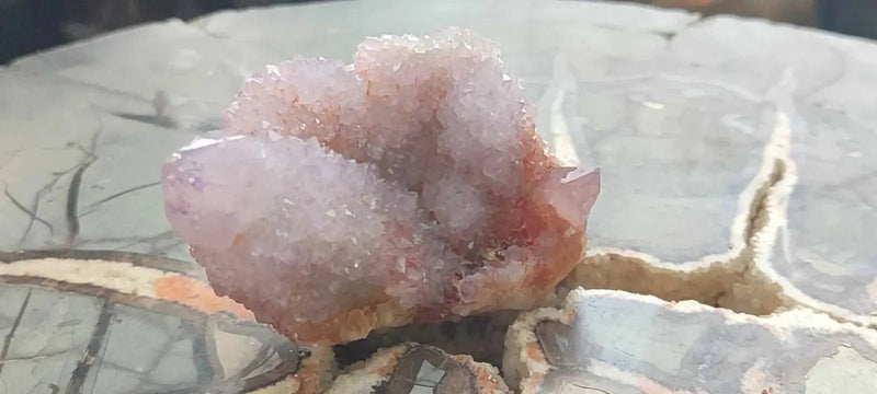 Load image into Gallery viewer, Améthyste cactus/ Améthyste esprit d’Afrique du sud - Grade Premium Améthyste cactus du Brésil
