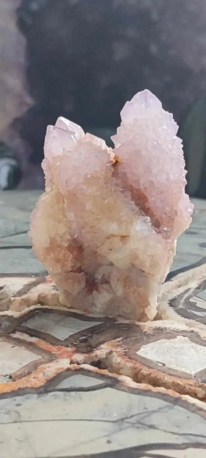 Load image into Gallery viewer, Améthyste cactus/ Améthyste esprit d’Afrique du sud - Grade Premium Améthyste cactus du Brésil
