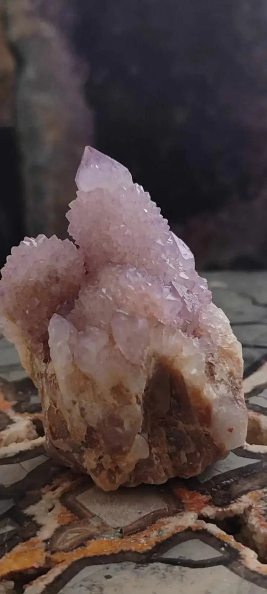 Améthyste cactus/ Améthyste esprit d’Afrique du sud - Grade Premium Améthyste cactus du Brésil