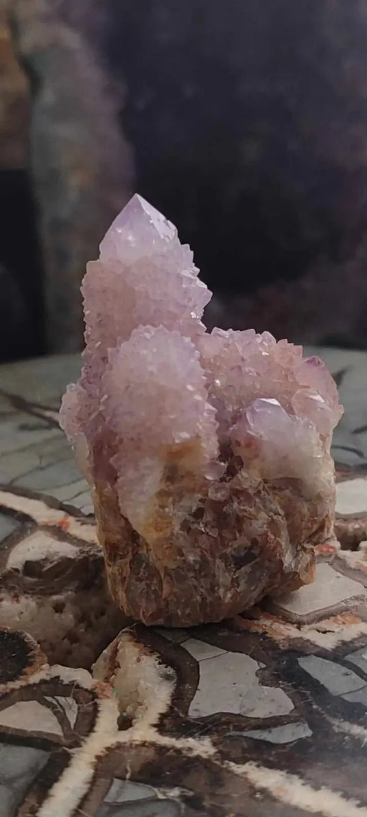 Améthyste cactus/ Améthyste esprit d’Afrique du sud - Grade Premium Améthyste cactus du Brésil