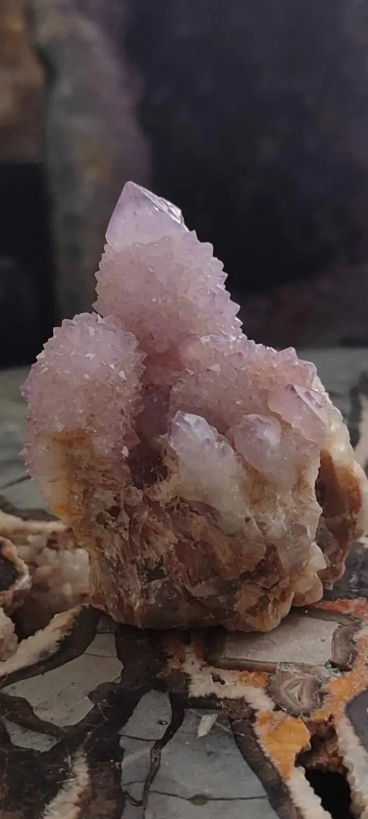 Load image into Gallery viewer, Améthyste cactus/ Améthyste esprit d’Afrique du sud - Grade Premium Améthyste cactus du Brésil
