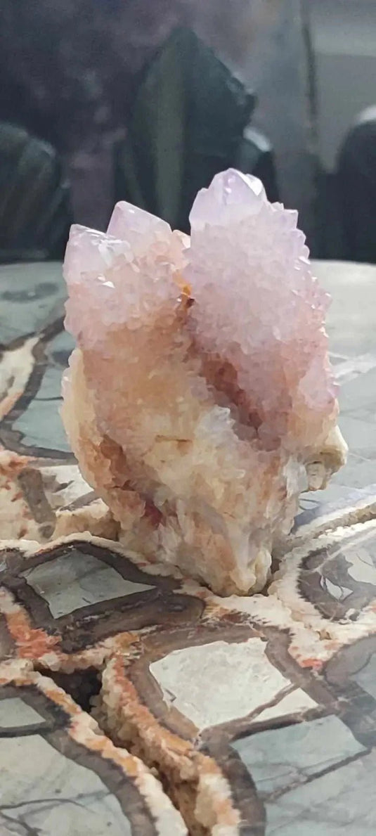 Améthyste cactus/ Améthyste esprit d’Afrique du sud - Grade Premium Améthyste cactus du Brésil