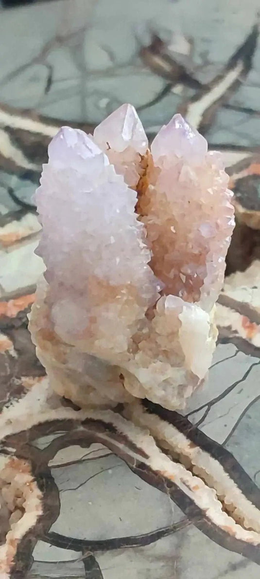 Améthyste cactus/ Améthyste esprit d’Afrique du sud - Grade Premium Améthyste cactus du Brésil