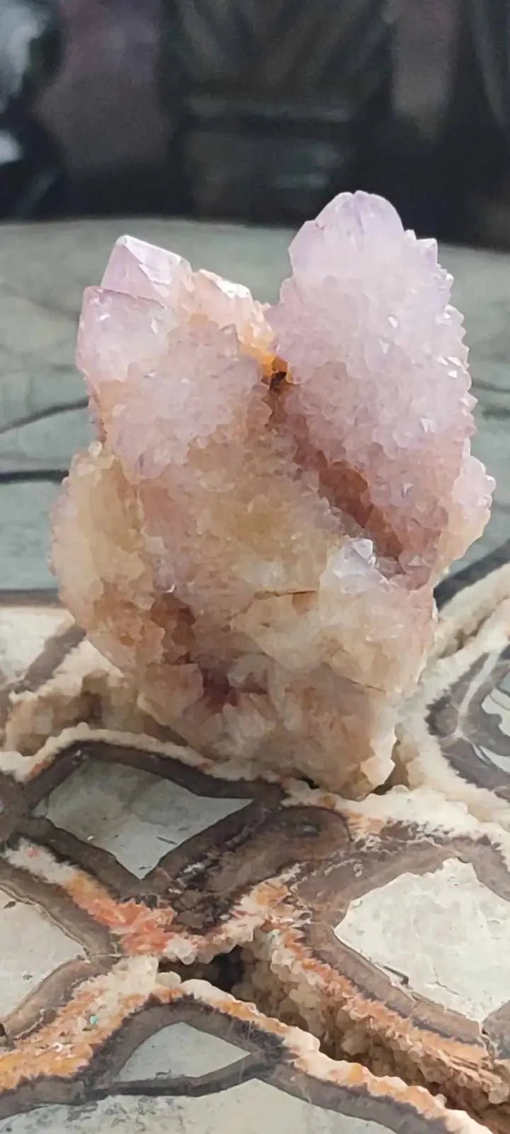 Load image into Gallery viewer, Améthyste cactus/ Améthyste esprit d’Afrique du sud - Grade Premium Améthyste cactus du Brésil
