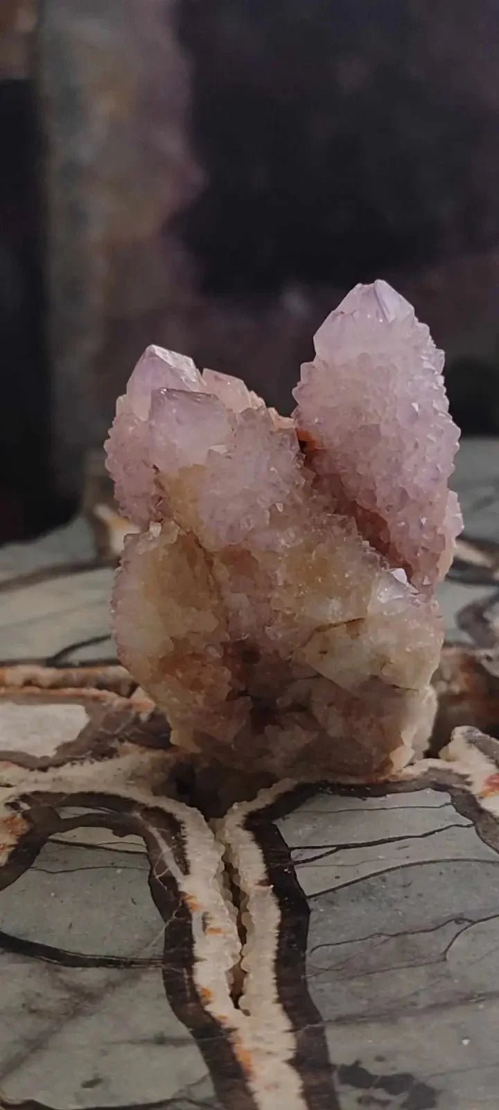 Load image into Gallery viewer, Améthyste cactus/ Améthyste esprit d’Afrique du sud - Grade Premium Améthyste cactus du Brésil
