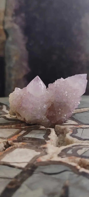 Améthyste cactus/ Améthyste esprit d’Afrique du sud - Grade Premium Améthyste cactus du Brésil