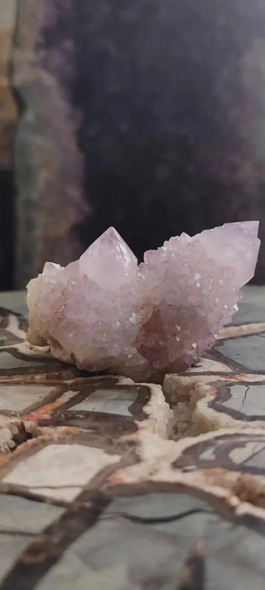 Améthyste cactus/ Améthyste esprit d’Afrique du sud - Grade Premium Améthyste cactus du Brésil