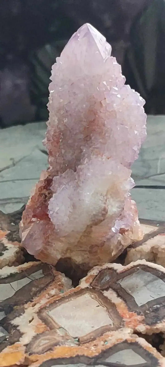 Améthyste cactus/ Améthyste esprit d’Afrique du sud - Grade Premium Améthyste cactus du Brésil