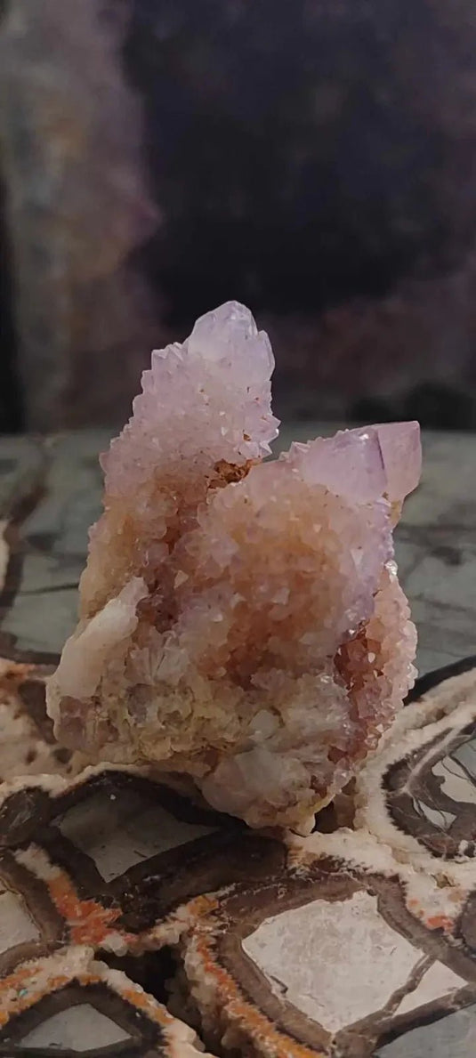 Améthyste cactus/ Améthyste esprit d’Afrique du sud - Grade Premium Améthyste cactus du Brésil