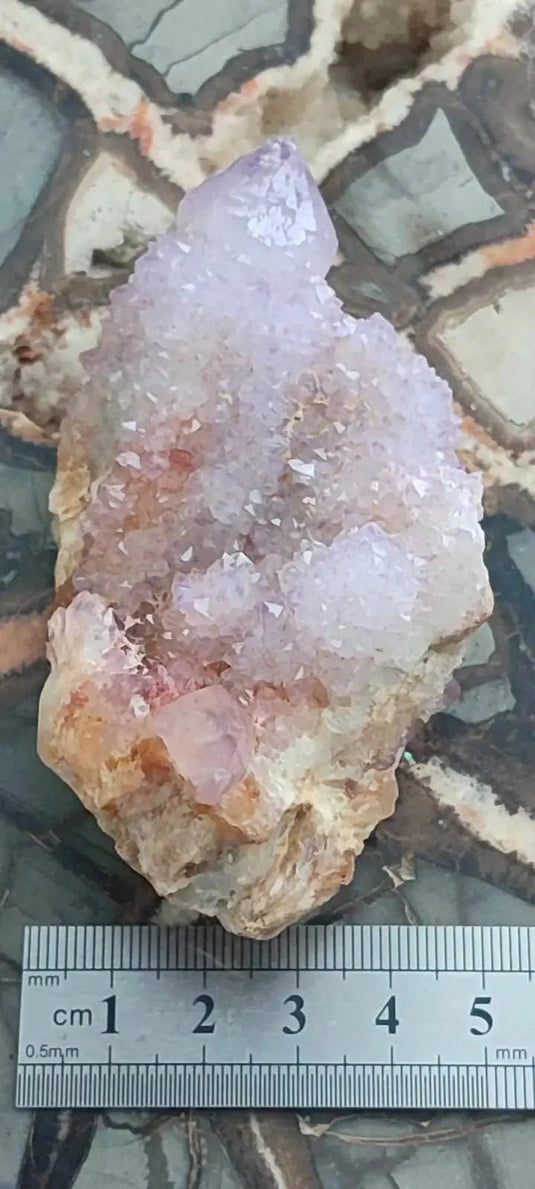 Améthyste cactus/ Améthyste esprit d’Afrique du sud - Grade Premium Améthyste cactus du Brésil