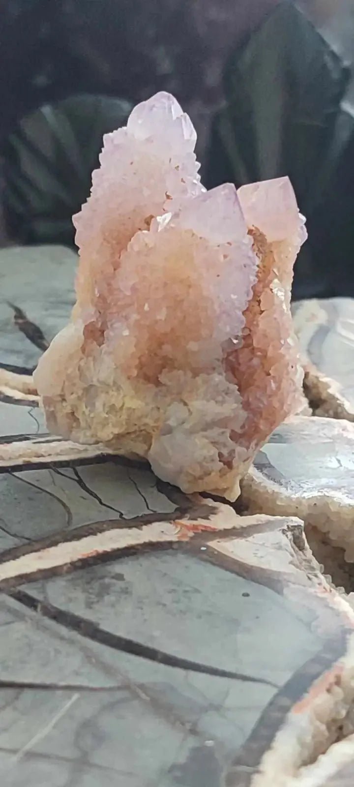 Load image into Gallery viewer, Améthyste cactus/ Améthyste esprit d’Afrique du sud - Grade Premium Améthyste cactus du Brésil
