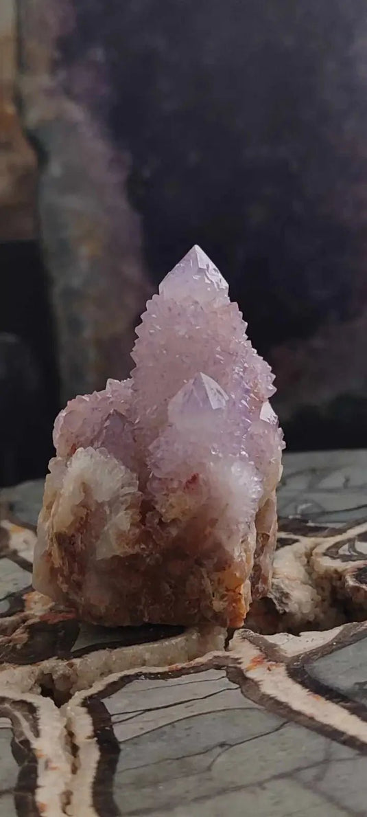 Améthyste cactus/ Améthyste esprit d’Afrique du sud - Grade Premium Améthyste cactus du Brésil