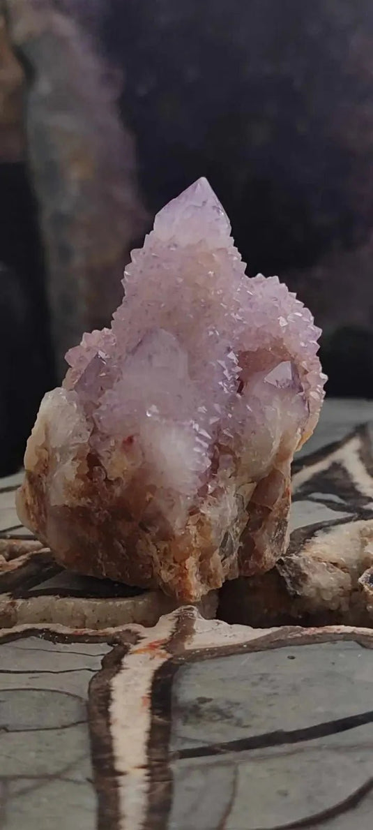 Améthyste cactus/ Améthyste esprit d’Afrique du sud - Grade Premium Améthyste cactus du Brésil