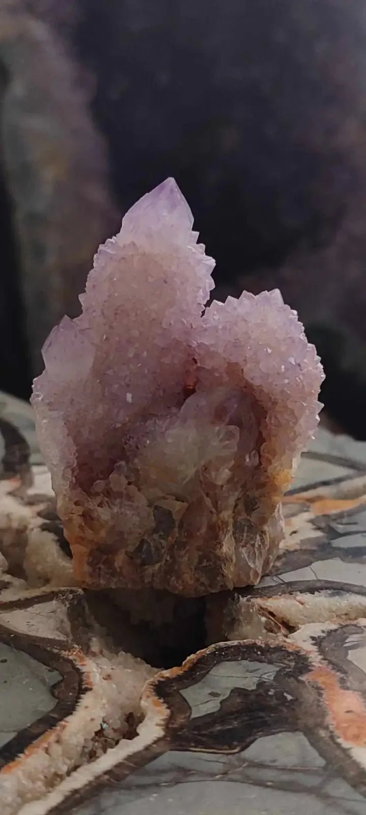 Load image into Gallery viewer, Améthyste cactus/ Améthyste esprit d’Afrique du sud - Grade Premium Améthyste cactus du Brésil
