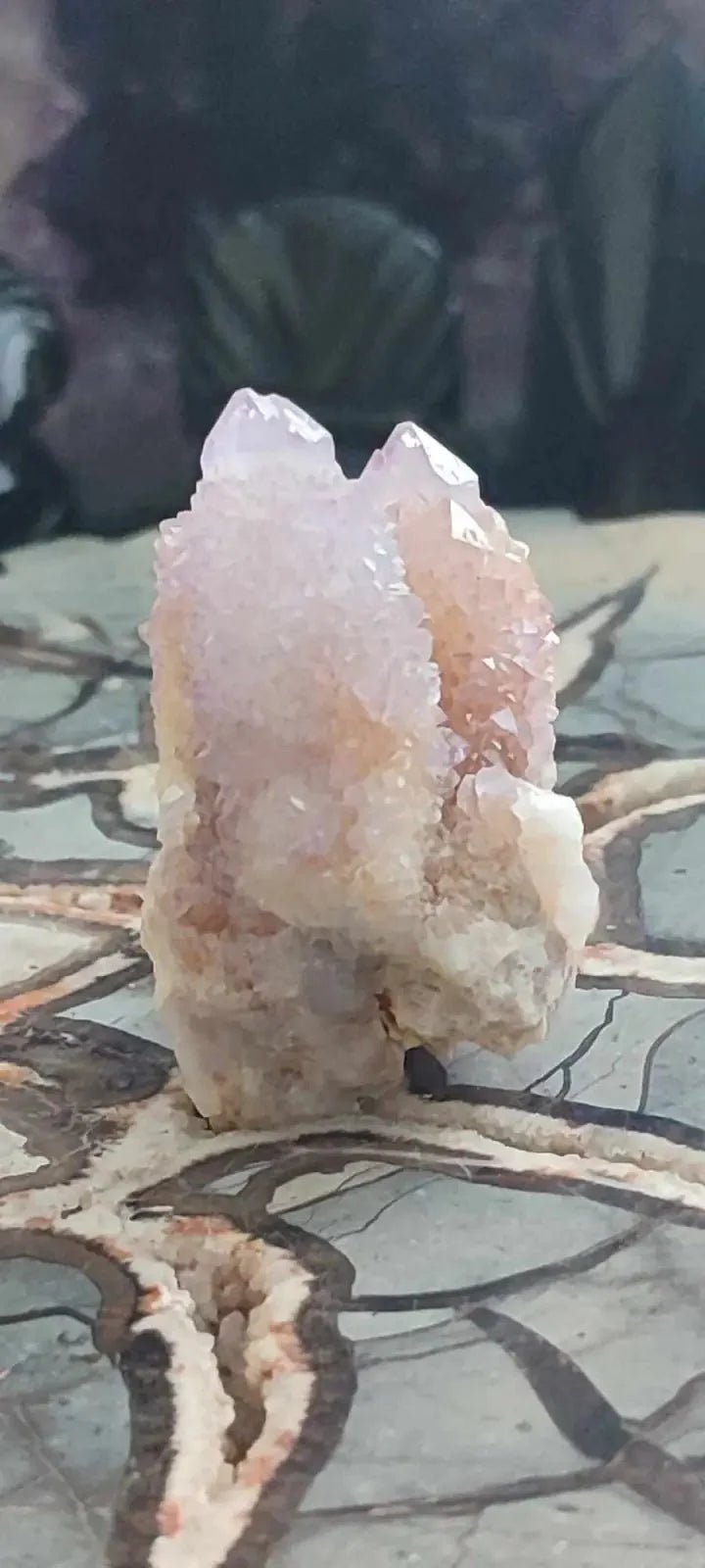 Load image into Gallery viewer, Améthyste cactus/ Améthyste esprit d’Afrique du sud - Grade Premium Améthyste cactus du Brésil
