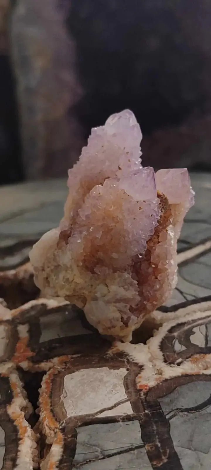 Load image into Gallery viewer, Améthyste cactus/ Améthyste esprit d’Afrique du sud - Grade Premium Améthyste cactus du Brésil
