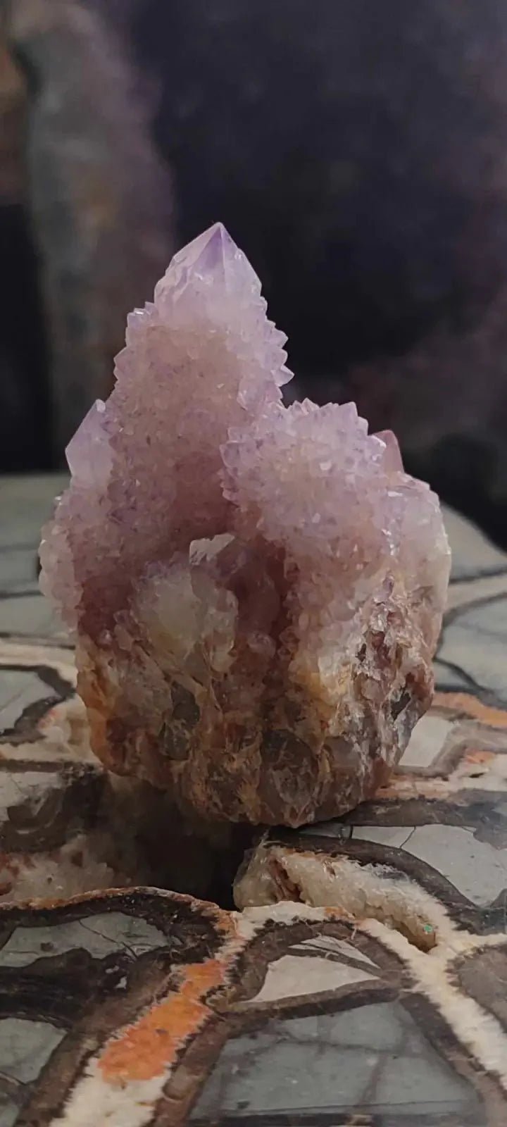 Load image into Gallery viewer, Améthyste cactus/ Améthyste esprit d’Afrique du sud - Grade Premium Améthyste cactus du Brésil
