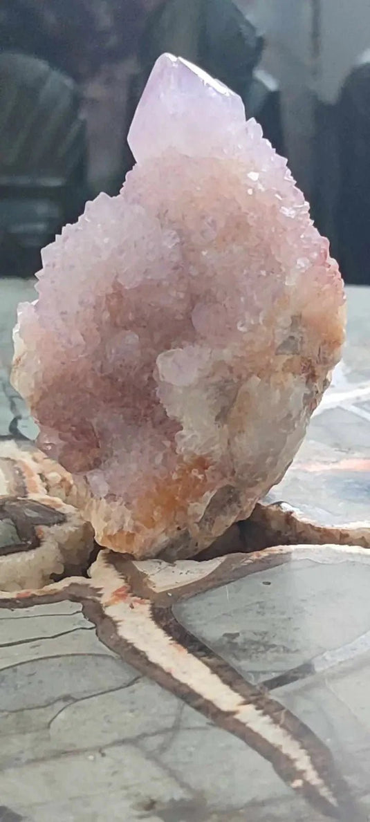 Améthyste cactus/ Améthyste esprit d’Afrique du sud - Grade Premium Améthyste cactus du Brésil