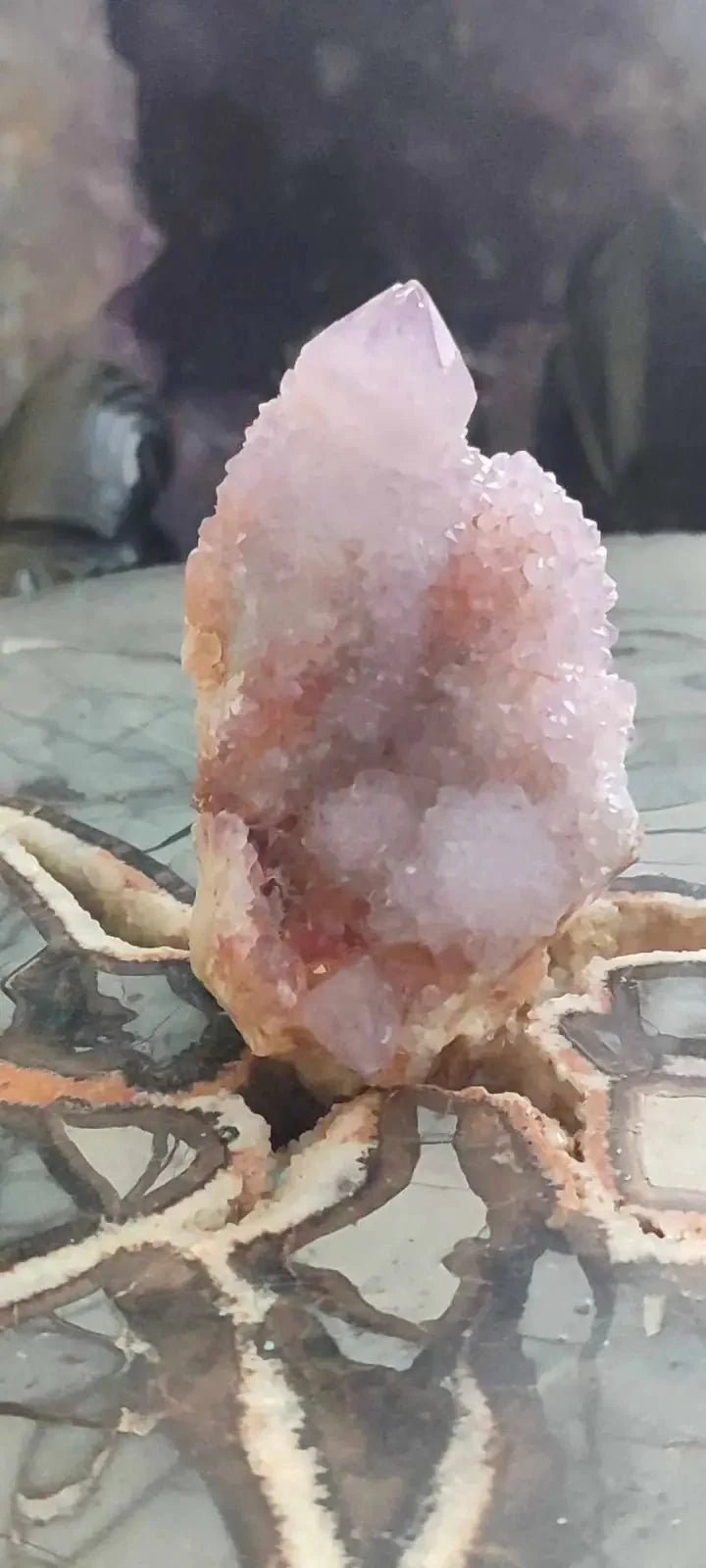 Load image into Gallery viewer, Améthyste cactus/ Améthyste esprit d’Afrique du sud - Grade Premium Améthyste cactus du Brésil
