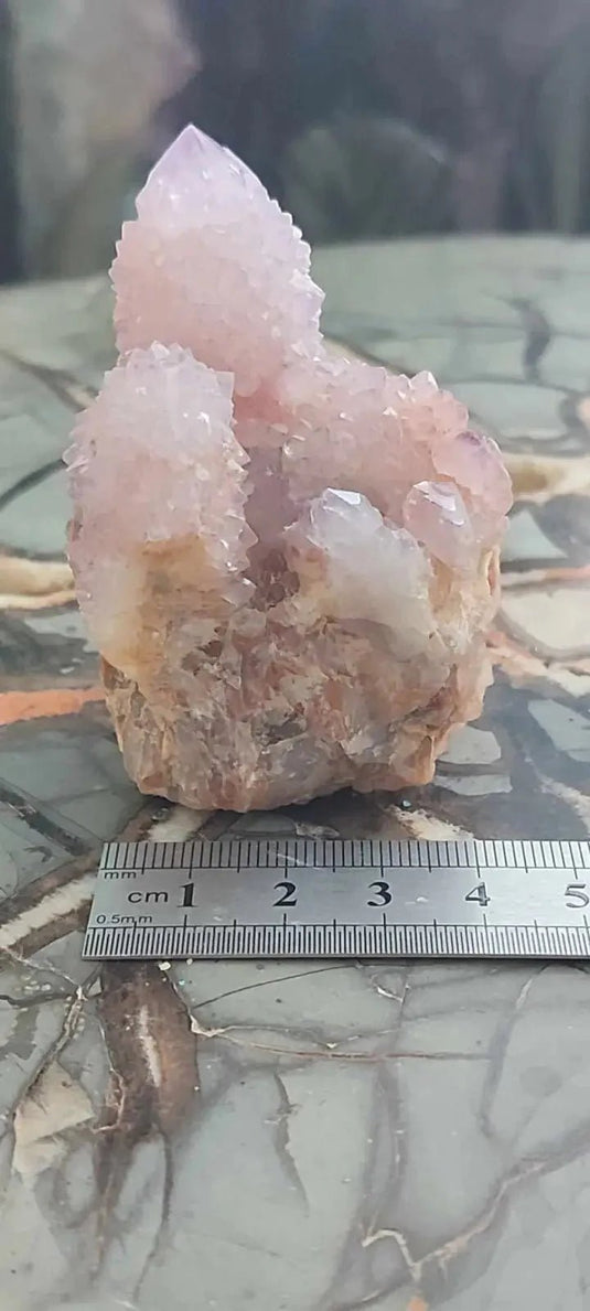 Améthyste cactus/ Améthyste esprit d’Afrique du sud - Grade Premium Améthyste cactus du Brésil