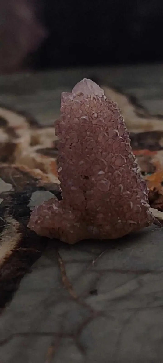 Améthyste cactus/ Améthyste esprit d’Afrique du sud - Grade Premium Améthyste cactus du Brésil