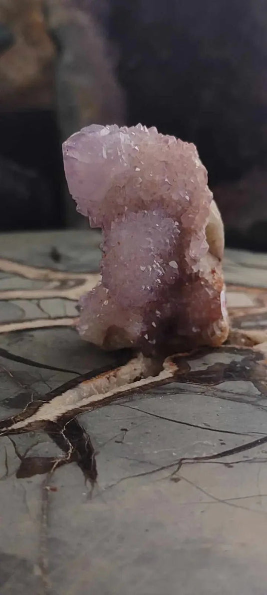 Améthyste cactus/ Améthyste esprit d’Afrique du sud - Grade Premium Améthyste cactus du Brésil