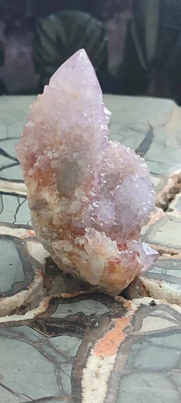 Load image into Gallery viewer, Améthyste cactus/ Améthyste esprit d’Afrique du sud - Grade Premium Améthyste cactus du Brésil
