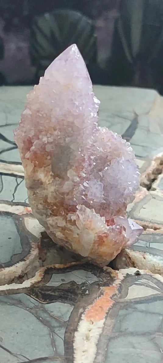 Améthyste cactus/ Améthyste esprit d’Afrique du sud - Grade Premium Améthyste cactus du Brésil