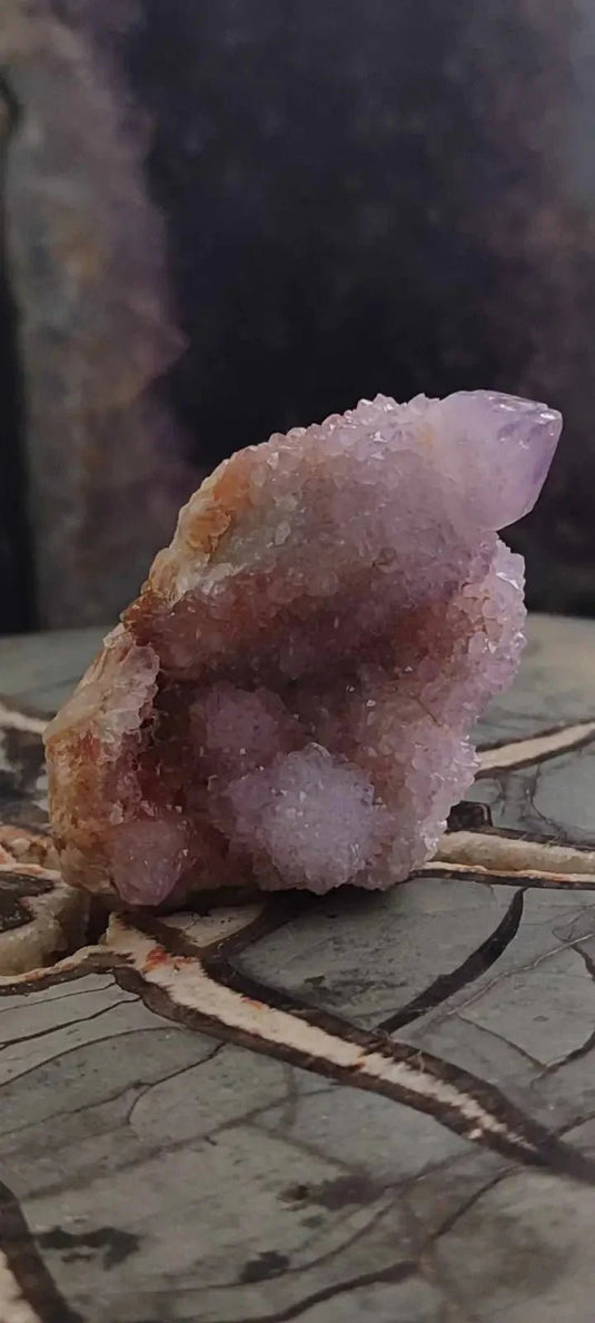 Améthyste cactus/ Améthyste esprit d’Afrique du sud - Grade Premium Améthyste cactus du Brésil