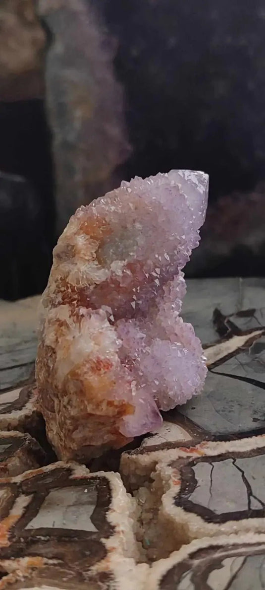 Améthyste cactus/ Améthyste esprit d’Afrique du sud - Grade Premium Améthyste cactus du Brésil