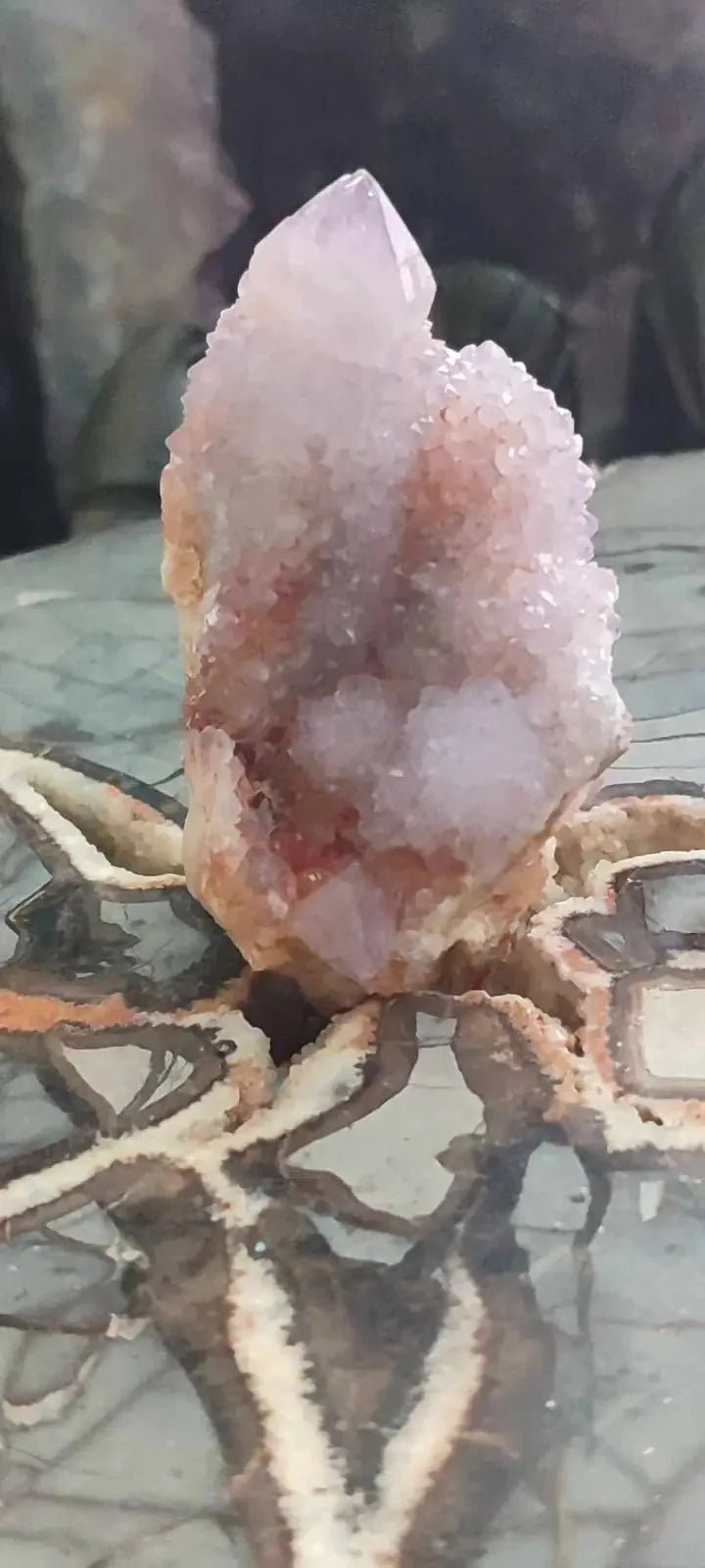 Load image into Gallery viewer, Améthyste cactus/ Améthyste esprit d’Afrique du sud - Grade Premium Améthyste cactus du Brésil
