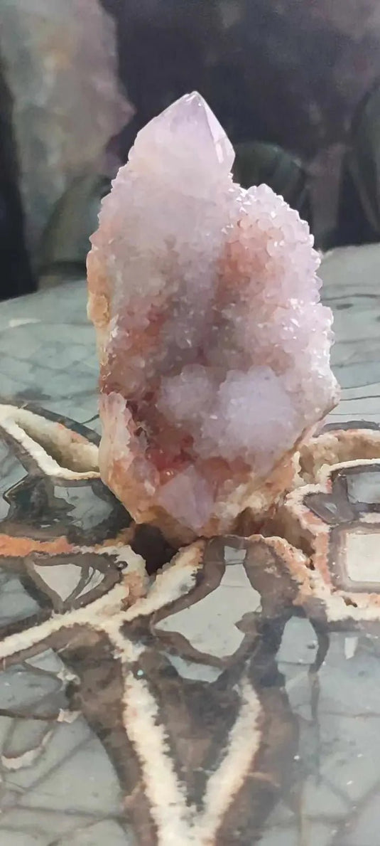 Améthyste cactus/ Améthyste esprit d’Afrique du sud - Grade Premium Améthyste cactus du Brésil