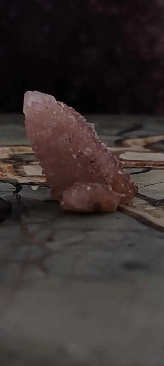 Améthyste cactus/ Améthyste esprit d’Afrique du sud - Grade Premium Améthyste cactus du Brésil