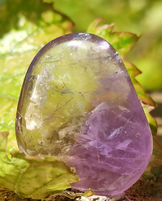 Amétrine de Bolivie - Pierre roulée (Taille Petite à Moyenne) - Grade Prémium Amétrine pierre roulée