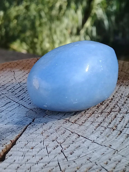 Angélite galet 4,2 X 3,5 X 2,5cm Grade A ++++ Angélite galet