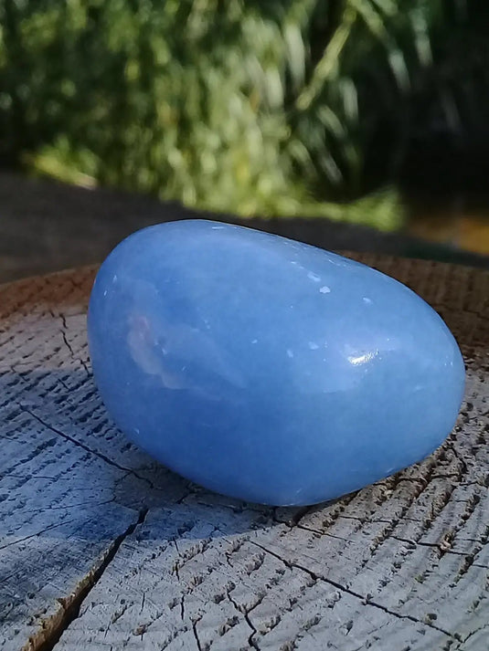 Angélite galet 4,2 X 3,5 X 2,5cm Grade A ++++ Angélite galet