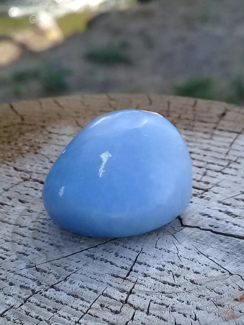 Load image into Gallery viewer, Angélite pierre roulée Grade A ++++ Angélite pierre roulée
