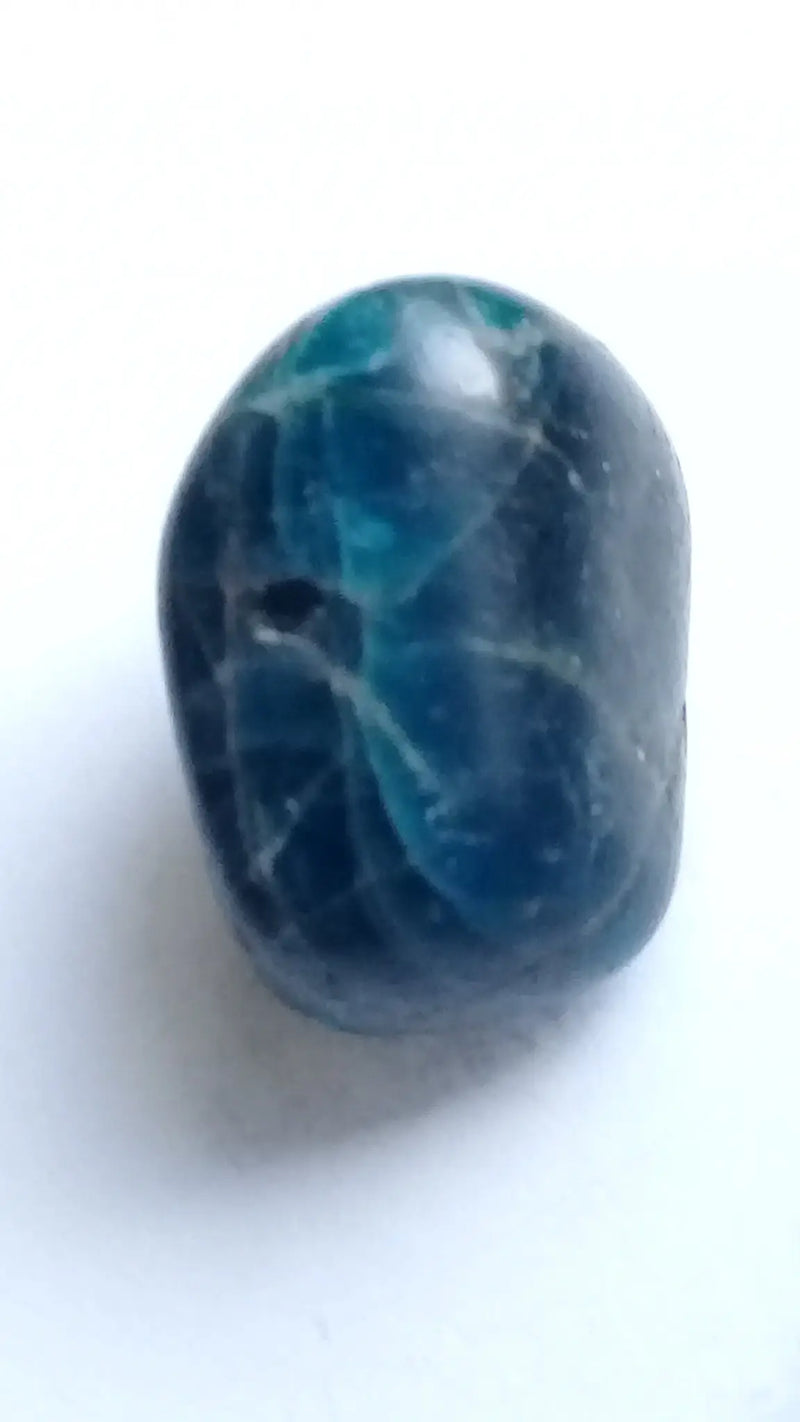 Chargez l&#39;image dans la visionneuse de la galerie, Apatite bleue cristallisée à inclusions de Rutile Hématoïde Grade A ++++ pierre roulée Apatite bleue cristallisée à inclusions de rutile hématoïde pierre roulée Dans la besace du p&#39;tit Poucet...   
