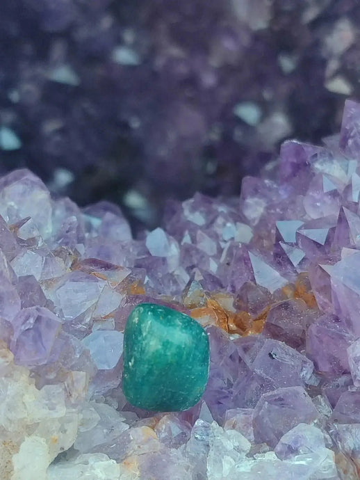 Apatite bleue du Brésil - Pierre roulée (Taille Petite à Moyenne) - Grade Prémium Apatite bleue pierre roulée