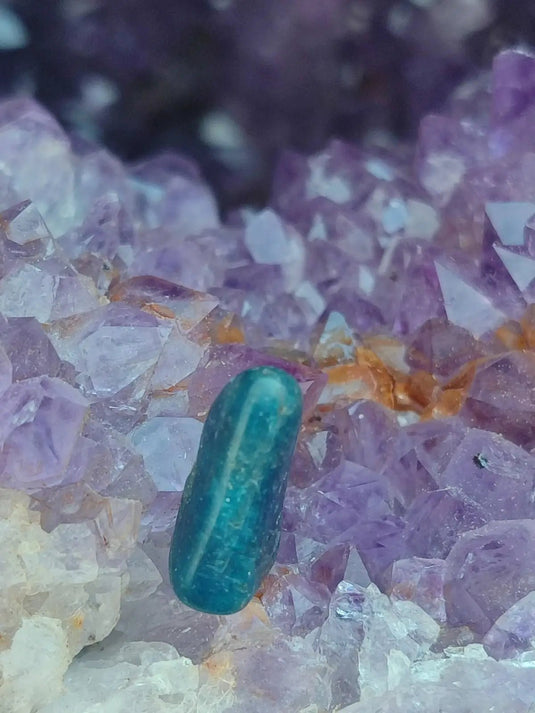 Apatite bleue du Brésil - Pierre roulée (Taille Petite à Moyenne) - Grade Prémium apatite bleue pierre roulée