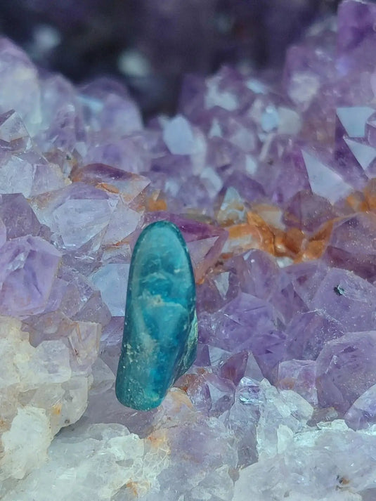 Apatite bleue du Brésil - Pierre roulée (Taille Petite à Moyenne) - Grade Prémium apatite bleue pierre roulée