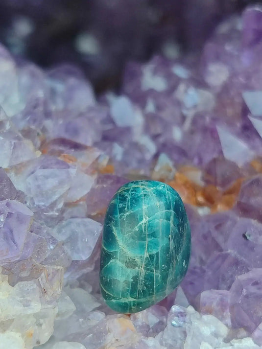 Apatite bleue du Brésil - Pierre roulée (Taille Petite à Moyenne) - Grade Prémium Apatite bleue pierre roulée