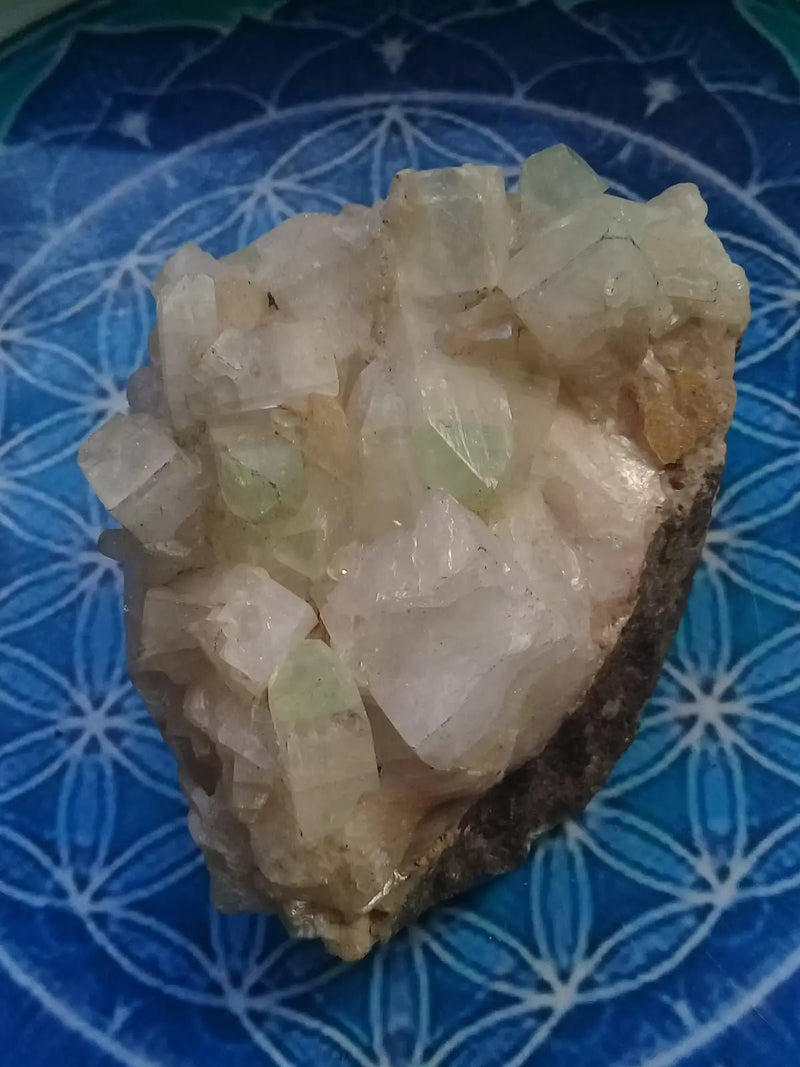 Chargez l&#39;image dans la visionneuse de la galerie, Apophylite verte et blanche Grade A ++++ pièce de Collection Apophylite verte et blanche
